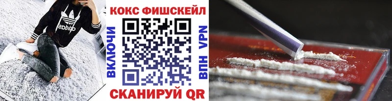 MEGA как войти  Правдинск  Cocaine Fish Scale 