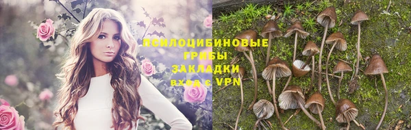 гидропоника Абаза