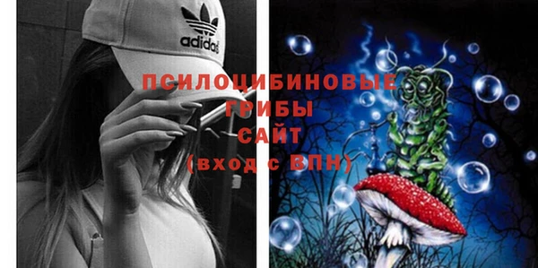 гидропоника Абаза