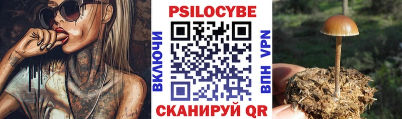 Галлюциногенные грибы GOLDEN TEACHER  как найти   Правдинск 