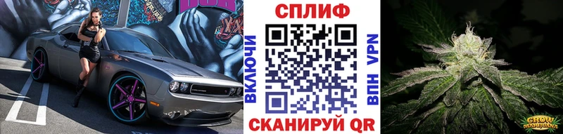 Бошки марихуана Amnesia Правдинск